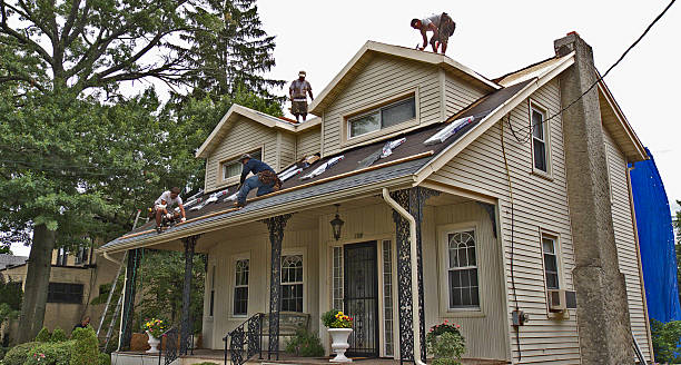 Professional Roofing Contractor in Patterson, LA